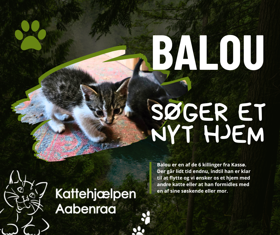 Balou