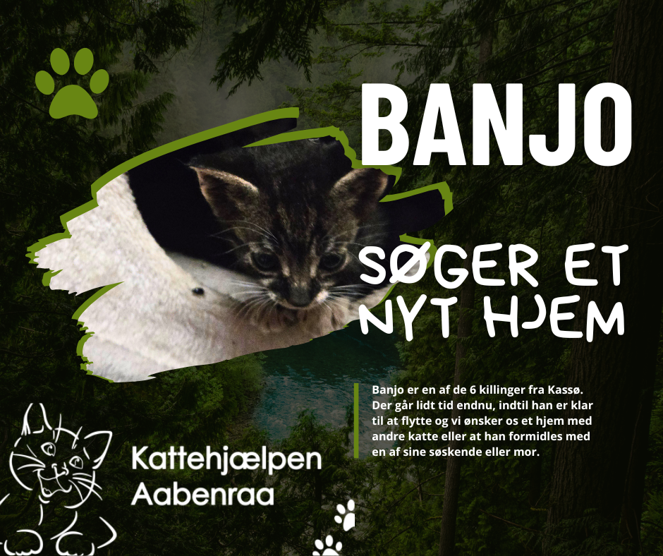 Banjo