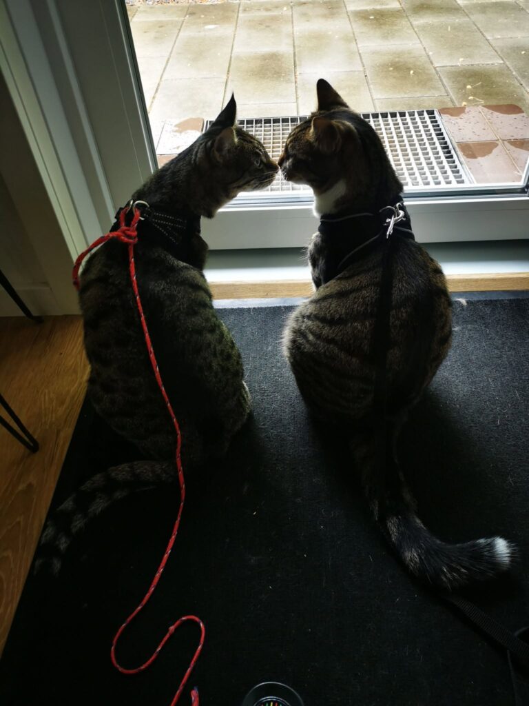 Holger og Sibbe
