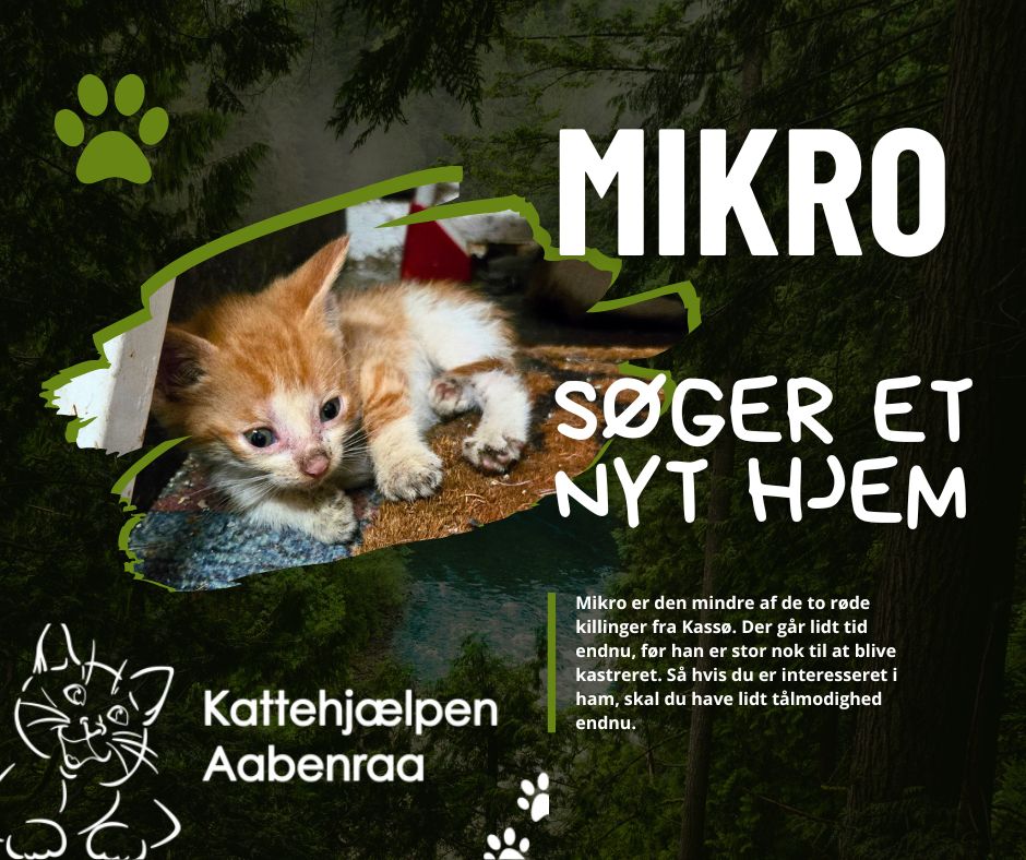 Mikro