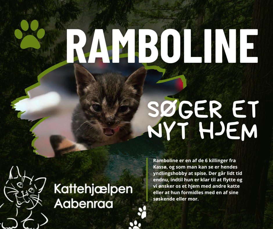 Ramboline