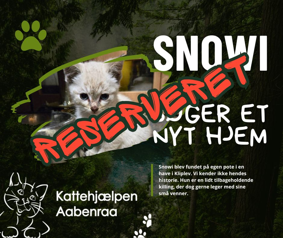 Snowi