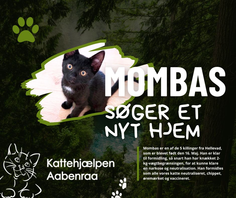 Mombas